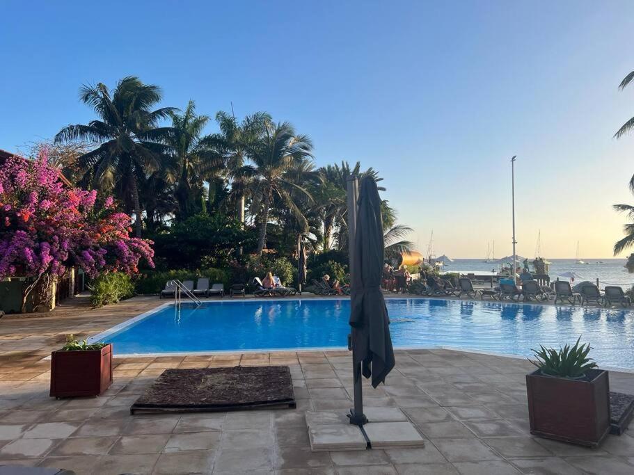 Porto Antigo 2- Lovely Studio 32 ซังตามาเรีย ภายนอก รูปภาพ